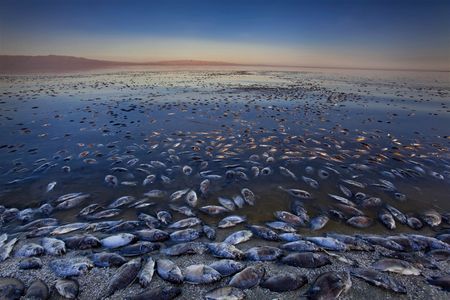 Salton Sea