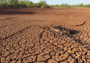 Texas Drought 2