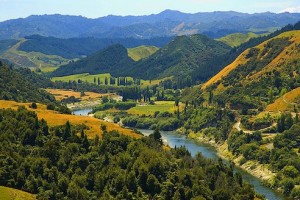 Whanganui River